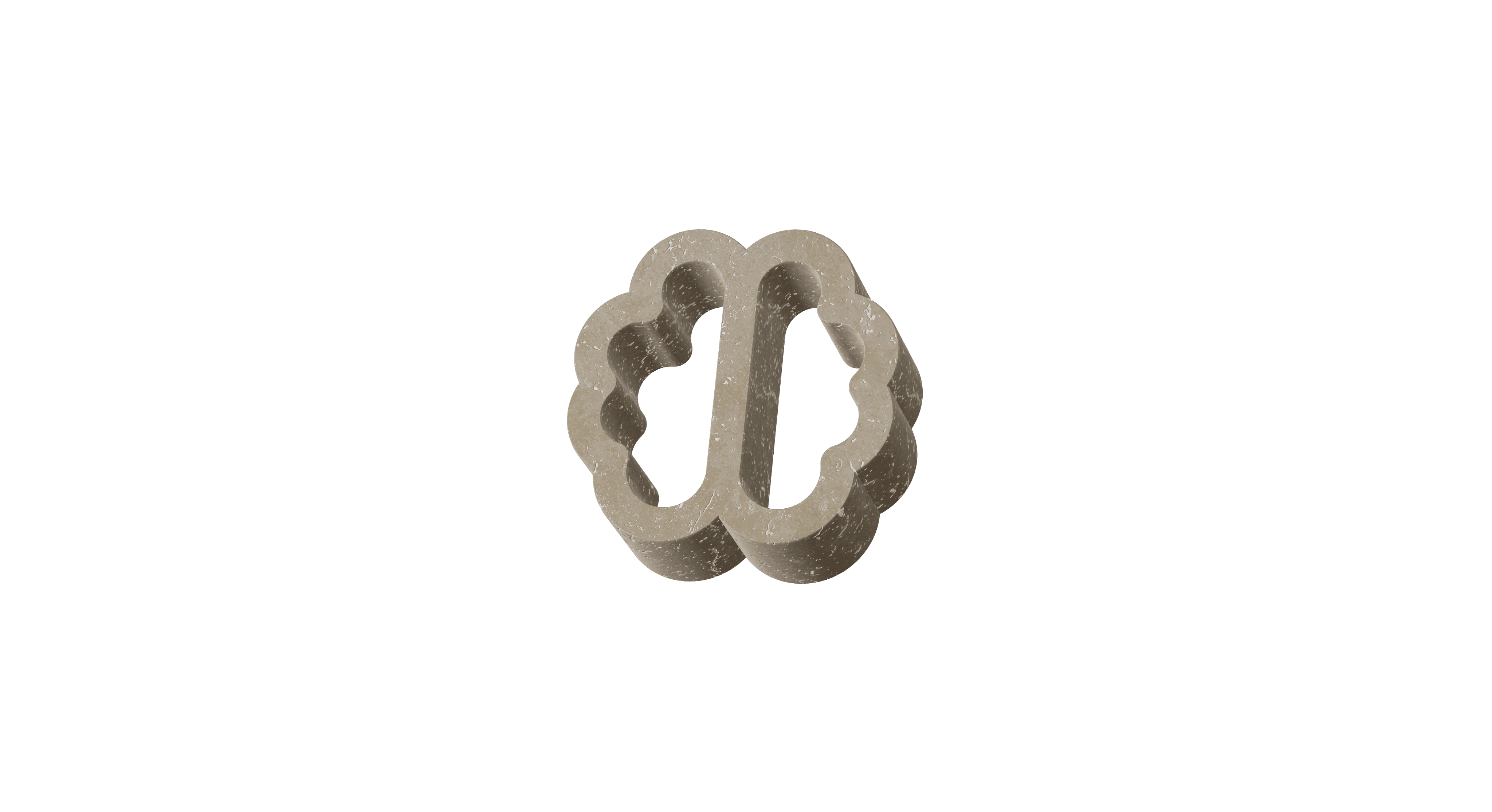 brain